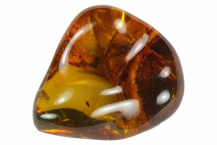 Polished Chiapas Amber ( g) - Mexico #114838